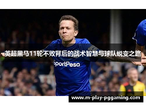 英超黑马11轮不败背后的战术智慧与球队蜕变之路 英超黑马11轮不败背后的战术智慧与球队蜕变之路