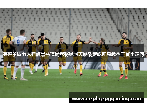 英超争四五大看点黑马搅局老将经验关键战定乾坤悬念丛生赛季走向 英超争四五大看点黑马搅局老将经验关键战定乾坤悬念丛生赛季走向