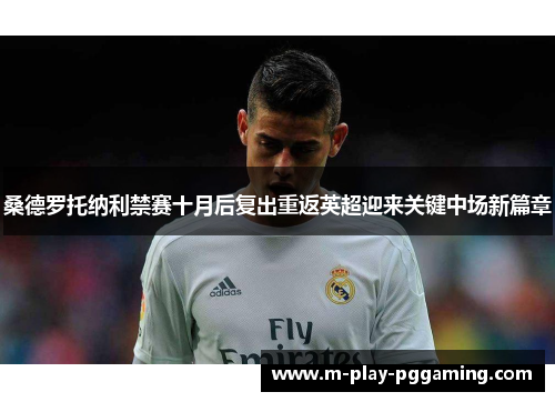 桑德罗托纳利禁赛十月后复出重返英超迎来关键中场新篇章